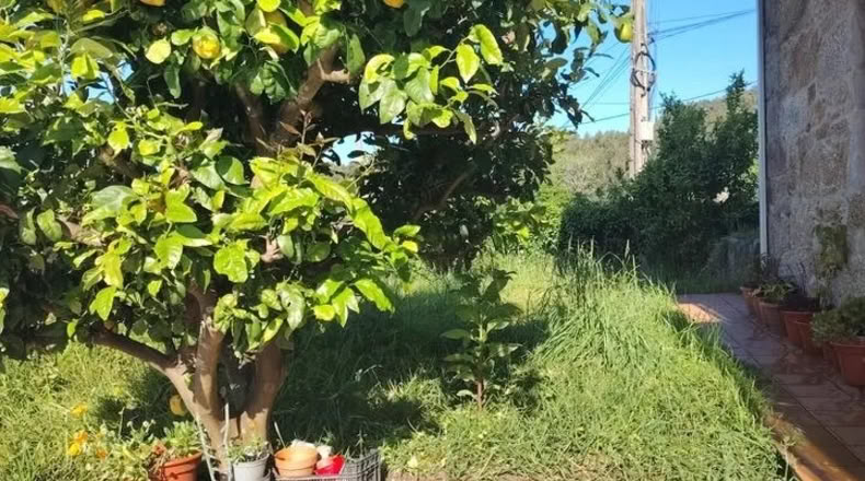 Pontevedra - Poio de Arriba - 300m2