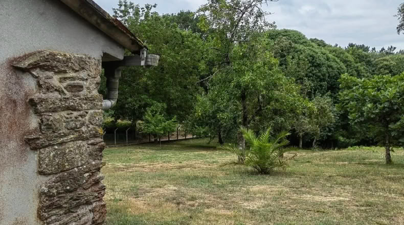 Pontevedra - Lalín - 9600m2