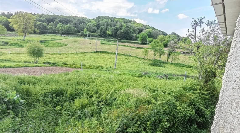 Pontevedra - Lalín - 700m2