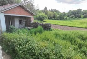 Foto 13