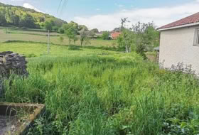 Foto 19