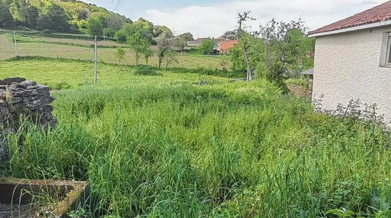 Pontevedra - Lalín - 700m2