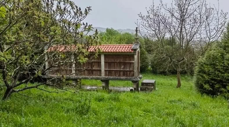 Pontevedra - Vila de Cruces - 1000m2