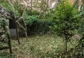Casa de pueblo en venta en Maceda ref: TR406645 foto