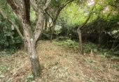 Casa de pueblo en venta en Maceda ref: TR406645 foto