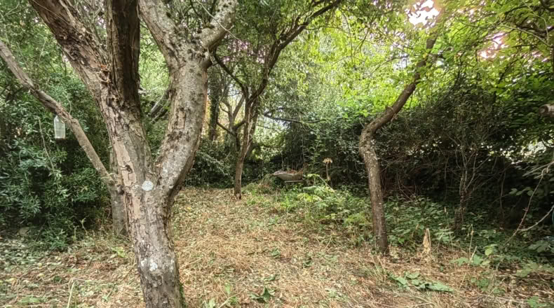 Orense - Maceda - 100m2