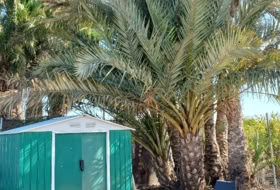 Foto 11
