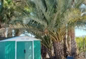 Casa prefabricada con terreno en venta en Elche ref: TR406961 foto
