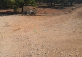 Non-developable land for sale on España, Oliva, ref: TR336594 photo