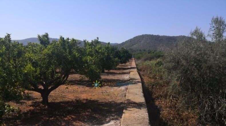Valencia - Олива - 5736m2
