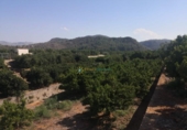 Non-developable land for sale on España, Oliva, ref: TR336594 photo