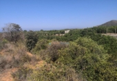 Non-developable land for sale on España, Oliva, ref: TR336594 photo