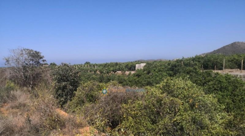 Valencia - Олива - 5736m2