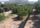 Non-developable land for sale on España, Oliva, ref: TR336594 photo