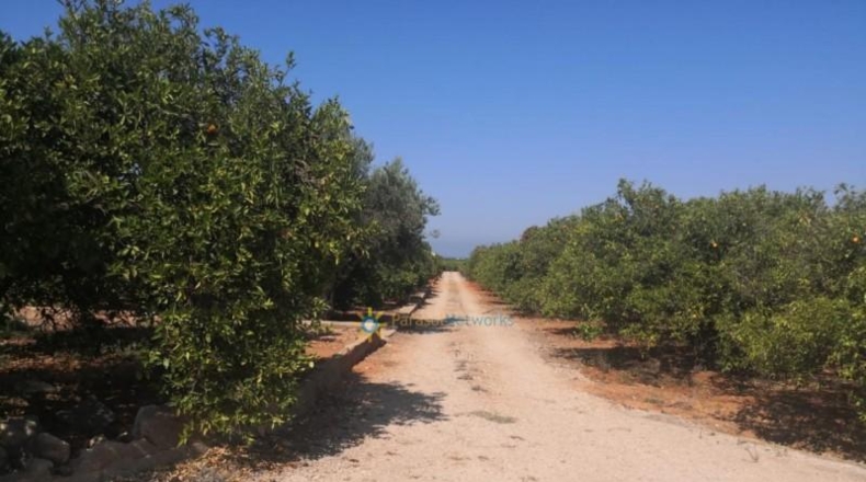 Valencia - Олива - 5736m2