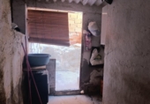 Casa de pueblo en venta en la España, Bullas, ref: TR403791 foto