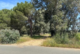 Villamanrique de la Condesa 5000&nbsp;m² 