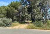 Non-developable land for sale on España, Villamanrique de la Condesa, ref: TR406929 photo
