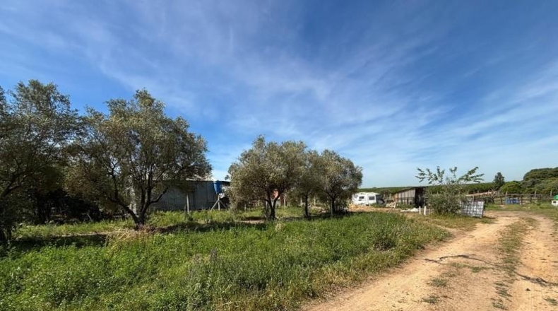 Sevilla - Villamanrique de la Condesa - 5000m2
