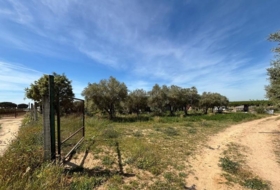 Villamanrique de la Condesa 5000&nbsp;m² 