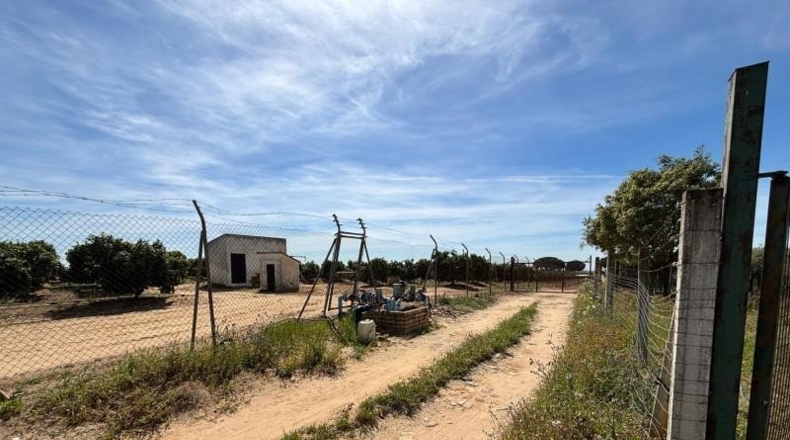 Sevilla - Villamanrique de la Condesa - 5000m2