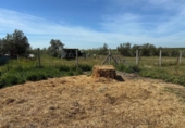 Non-developable land for sale on España, Villamanrique de la Condesa, ref: TR406929 photo