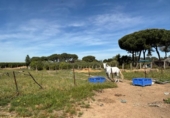 Non-developable land for sale on España, Villamanrique de la Condesa, ref: TR406929 photo
