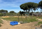 Non-developable land for sale on España, Villamanrique de la Condesa, ref: TR406929 photo