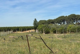 Villamanrique de la Condesa 5000&nbsp;m² 
