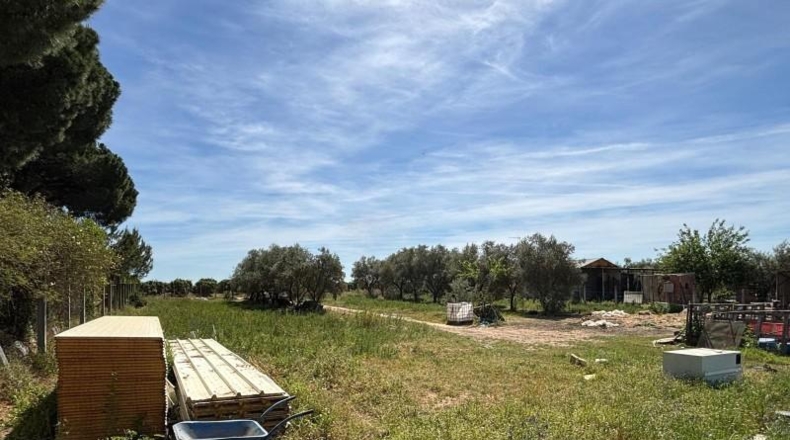 Sevilla - Villamanrique de la Condesa - 5000m2