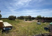 Non-developable land for sale on España, Villamanrique de la Condesa, ref: TR406929 photo