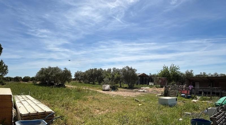 Sevilla - Villamanrique de la Condesa - 5000m2
