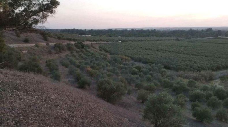 Sevilla - Sanlúcar la Mayor - 53602m2