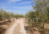 Terreny no urbanitzable en venda a la España, Sanlúcar la Mayor, ref.: TR406927 foto