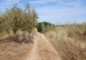 Terreny no urbanitzable en venda a la España, Sanlúcar la Mayor, ref.: TR406927 foto