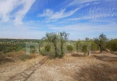 Terreny no urbanitzable en venda a la España, Sanlúcar la Mayor, ref.: TR406927 foto