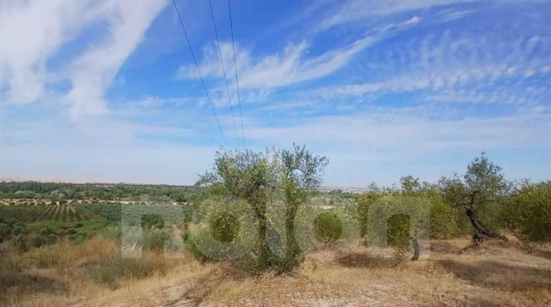 Sevilla - Sanlúcar la Mayor - 53602m2