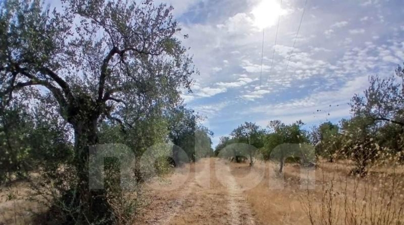 Sevilla - Sanlúcar la Mayor - 53602m2