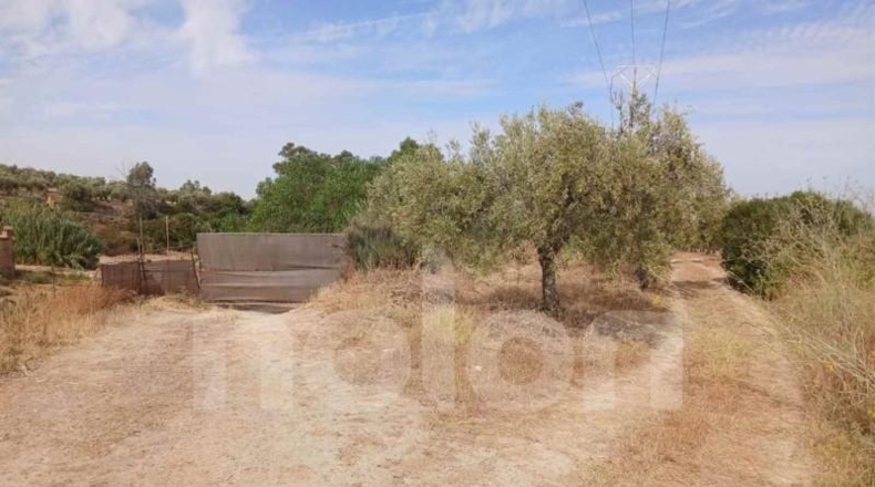 Sevilla - Sanlúcar la Mayor - 53602m2