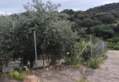 Casa de camp amb terreny en venda a la España, Fuente Obejuna, ref.: TR406892 foto