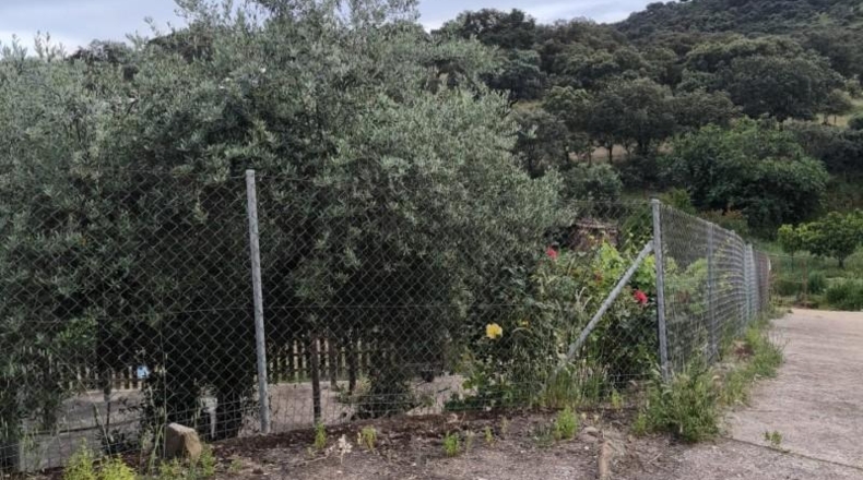 Cordova - Fuente Obejuna - 1000m2