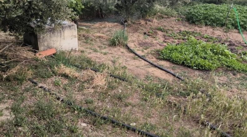 Cordova - Fuente Obejuna - 1000m2