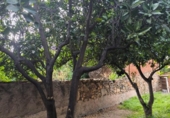 Sòl urbà en venda a la España, Pineda de Mar, ref.: TR406407 foto