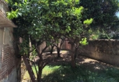 Sòl urbà en venda a la España, Pineda de Mar, ref.: TR406407 foto