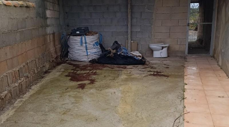 Murcia - Сехин - 195m2