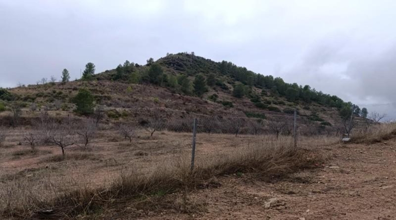 Murcia - Сехин - 195m2
