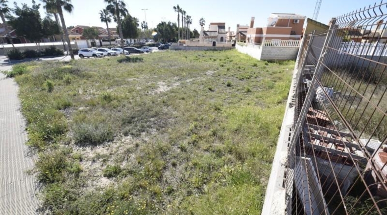 Alicante - Guardamar del Segura - 1000m2