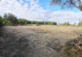 Sòl urbà en venda a la España, Badajoz, ref.: TR404334 foto