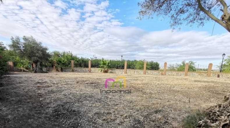 Badajoz - Badajoz - 980m2