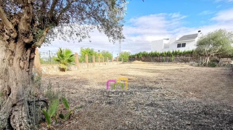 Badajoz - Badajoz - 980m2